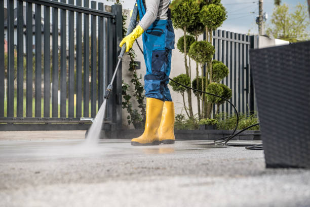 Best Commercial Building Pressure Washing  in Forest, OH
