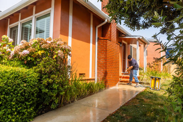  Forest, OH Pressure Washing Pros