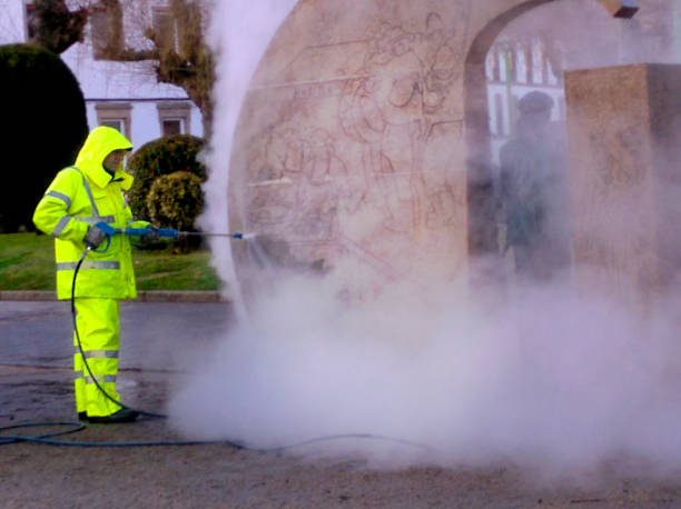 Best Sidewalk Pressure Washing  in Forest, OH