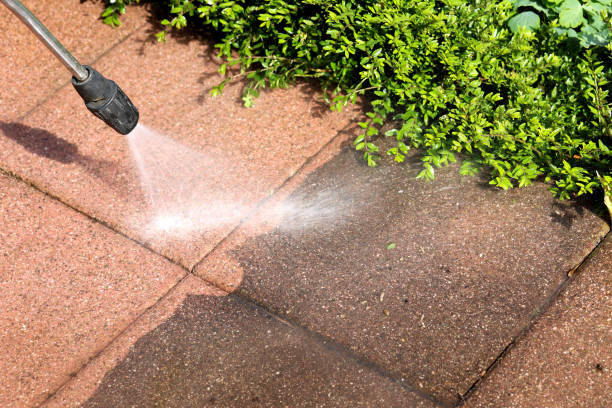 Best Exterior Home Cleaning  in Forest, OH